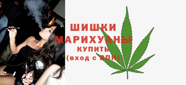 сатива Армянск