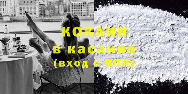 стафф Арсеньев