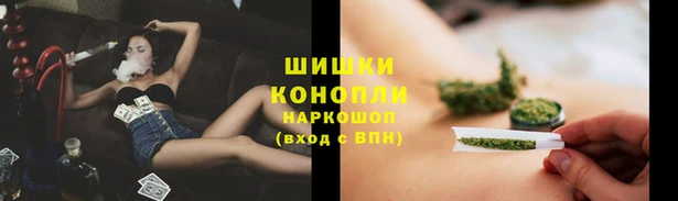 сатива Армянск
