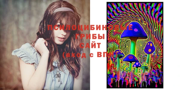 стафф Арсеньев