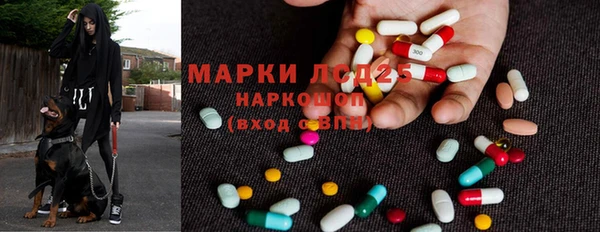 стафф Арсеньев