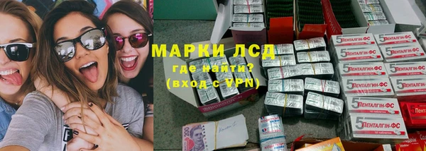 сатива Армянск
