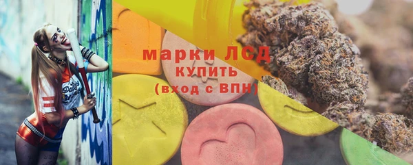 стафф Арсеньев