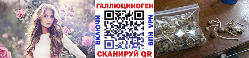 Галлюциногенные грибы MAGIC MUSHROOMS  Липки 